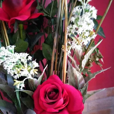 Rosa Roja Apartament